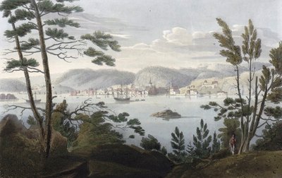 Arendal from Tromøe by John william Edy